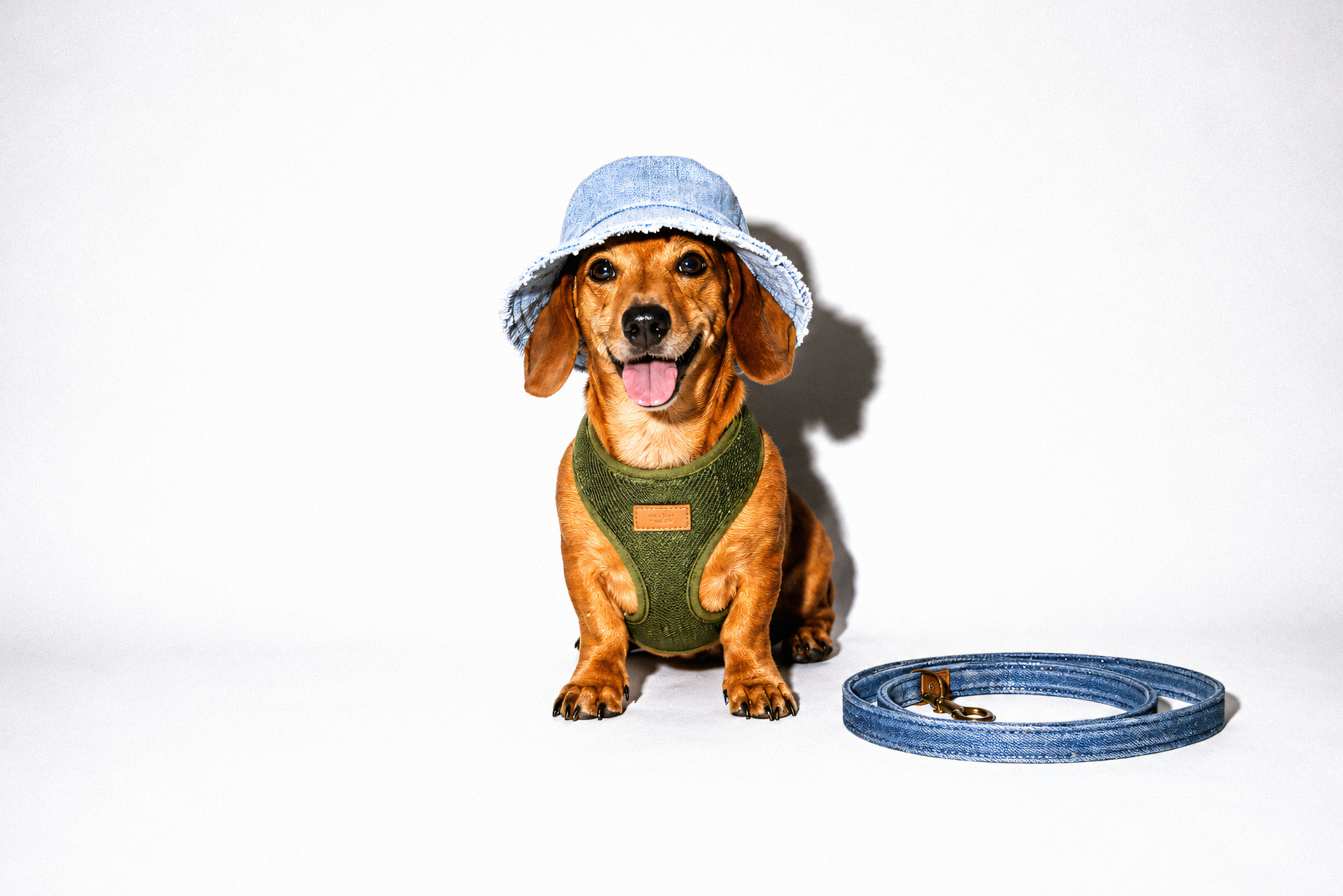 Apparel