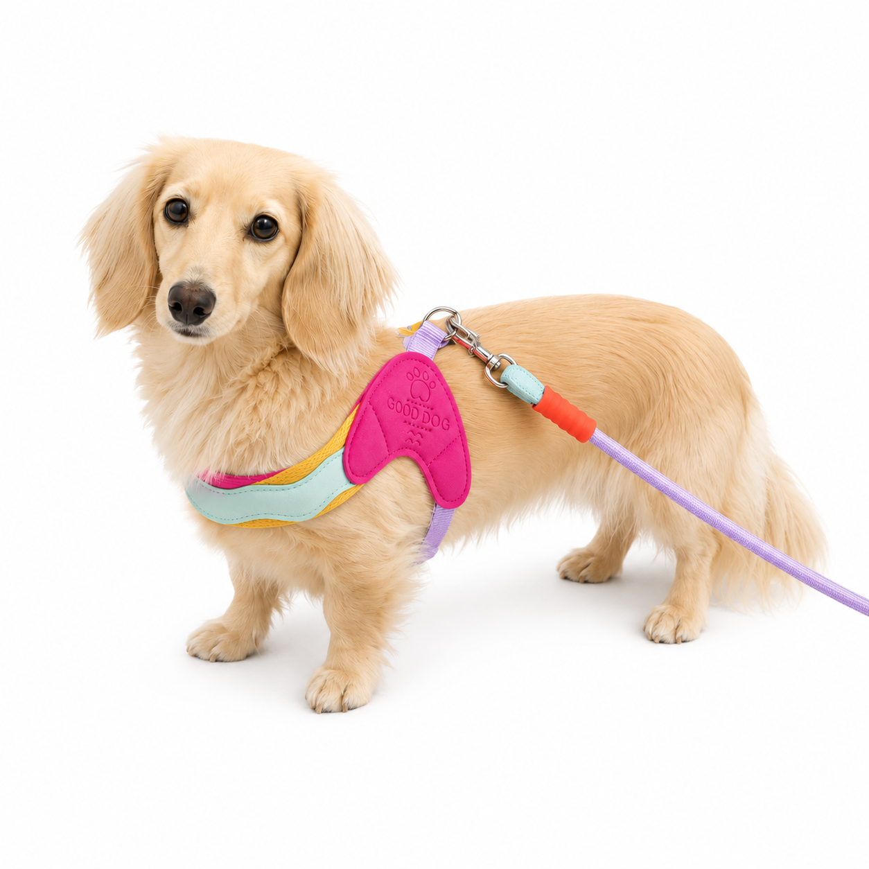 Colorful Dog Harness & Leash Set