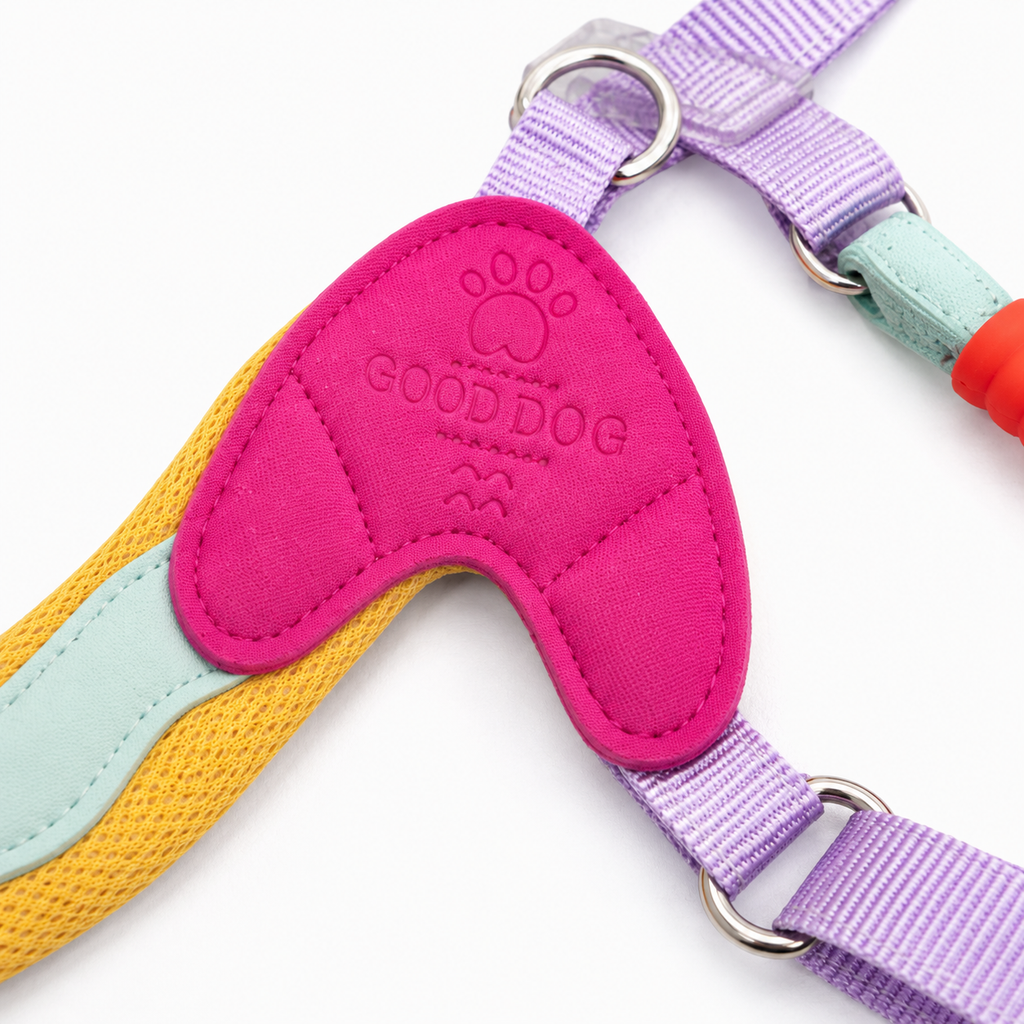 Colorful Dog Harness & Leash Set