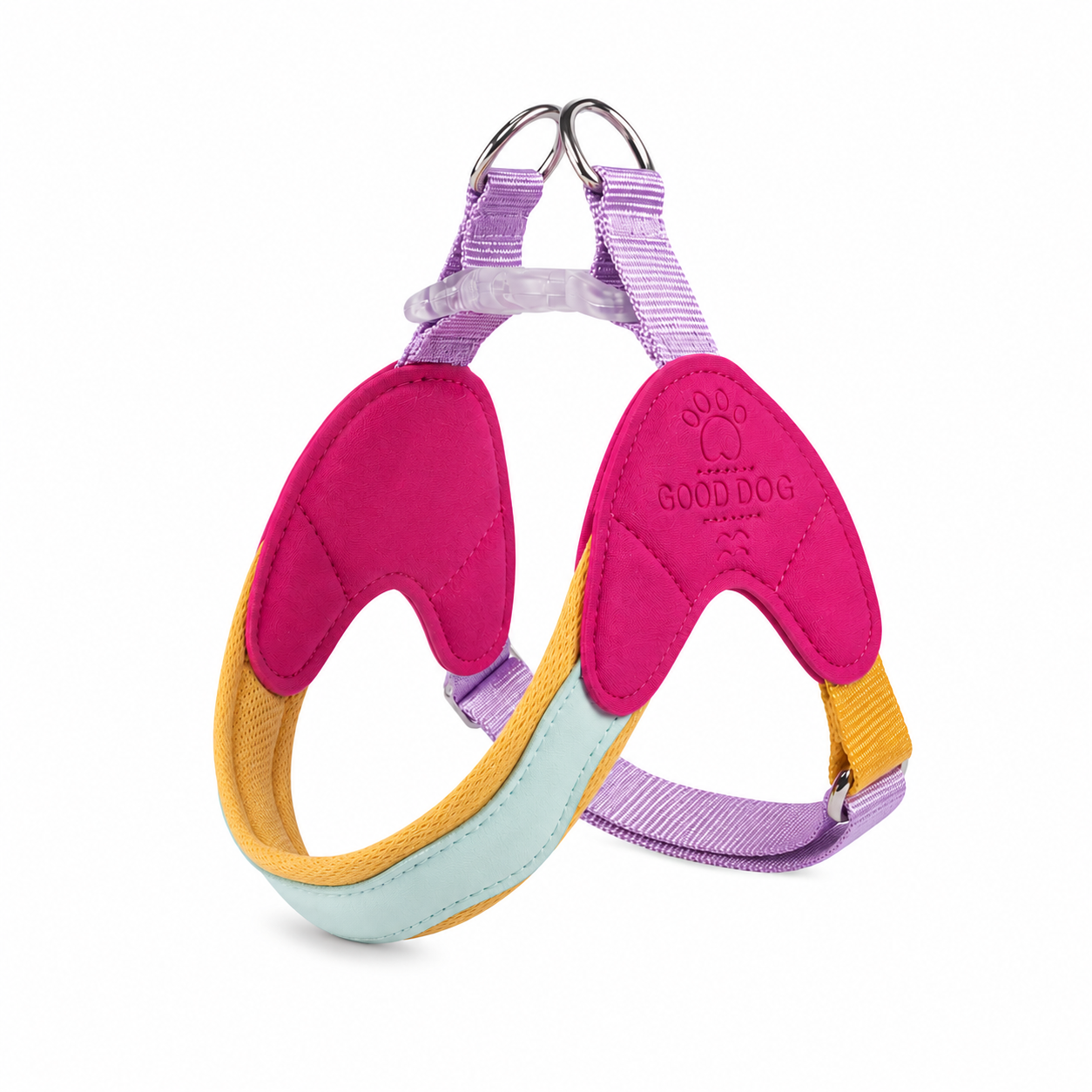 Colorful Dog Harness & Leash Set