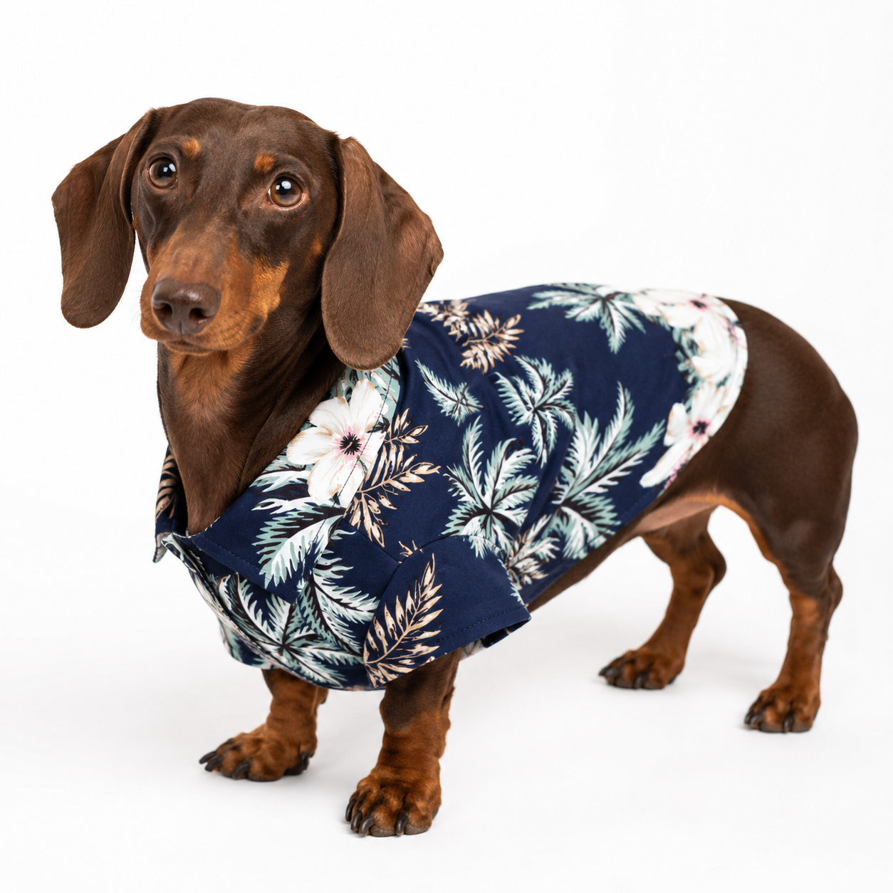 Assorted Hawaiian Themed Dog Shirts