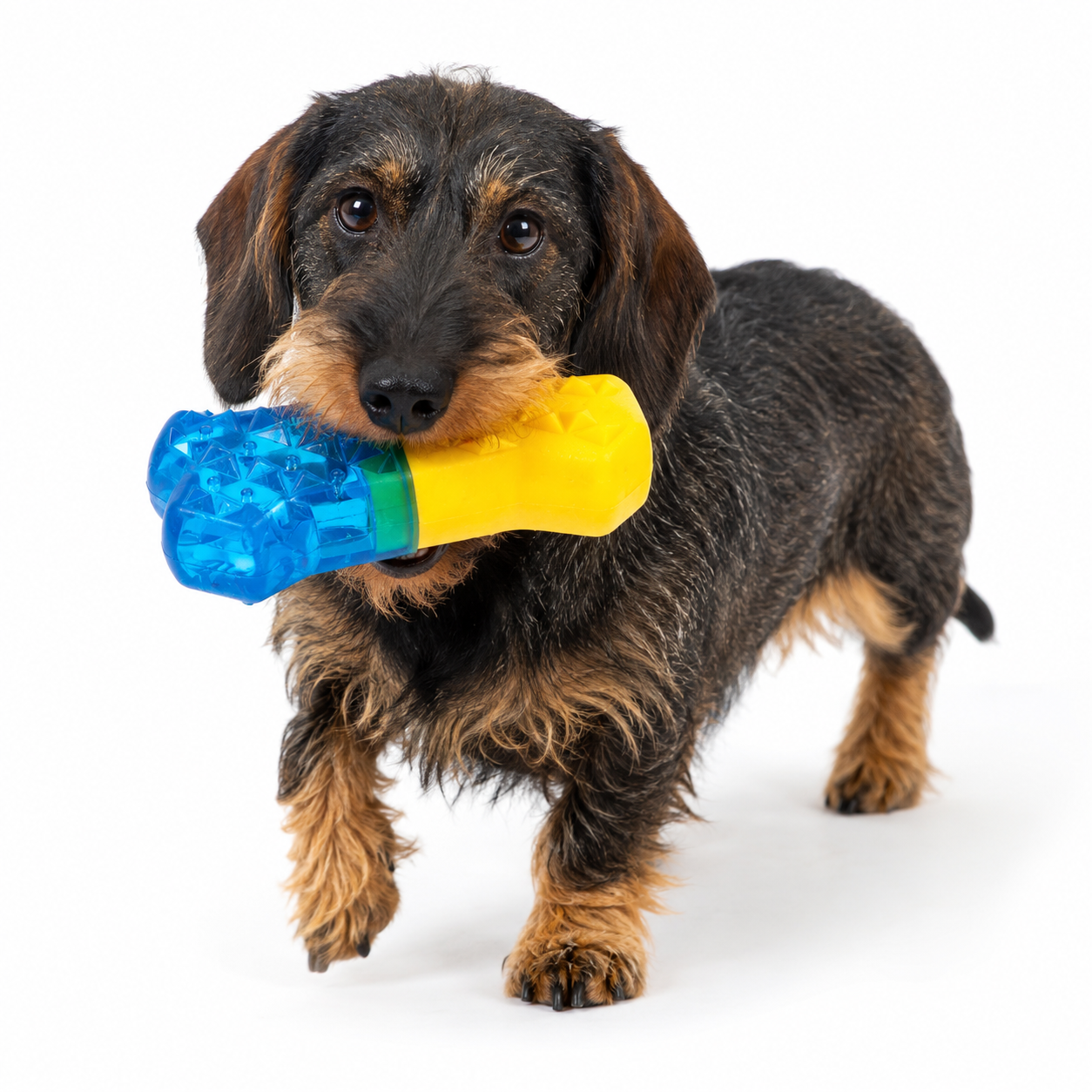 Assorted Freezable Chew Toys