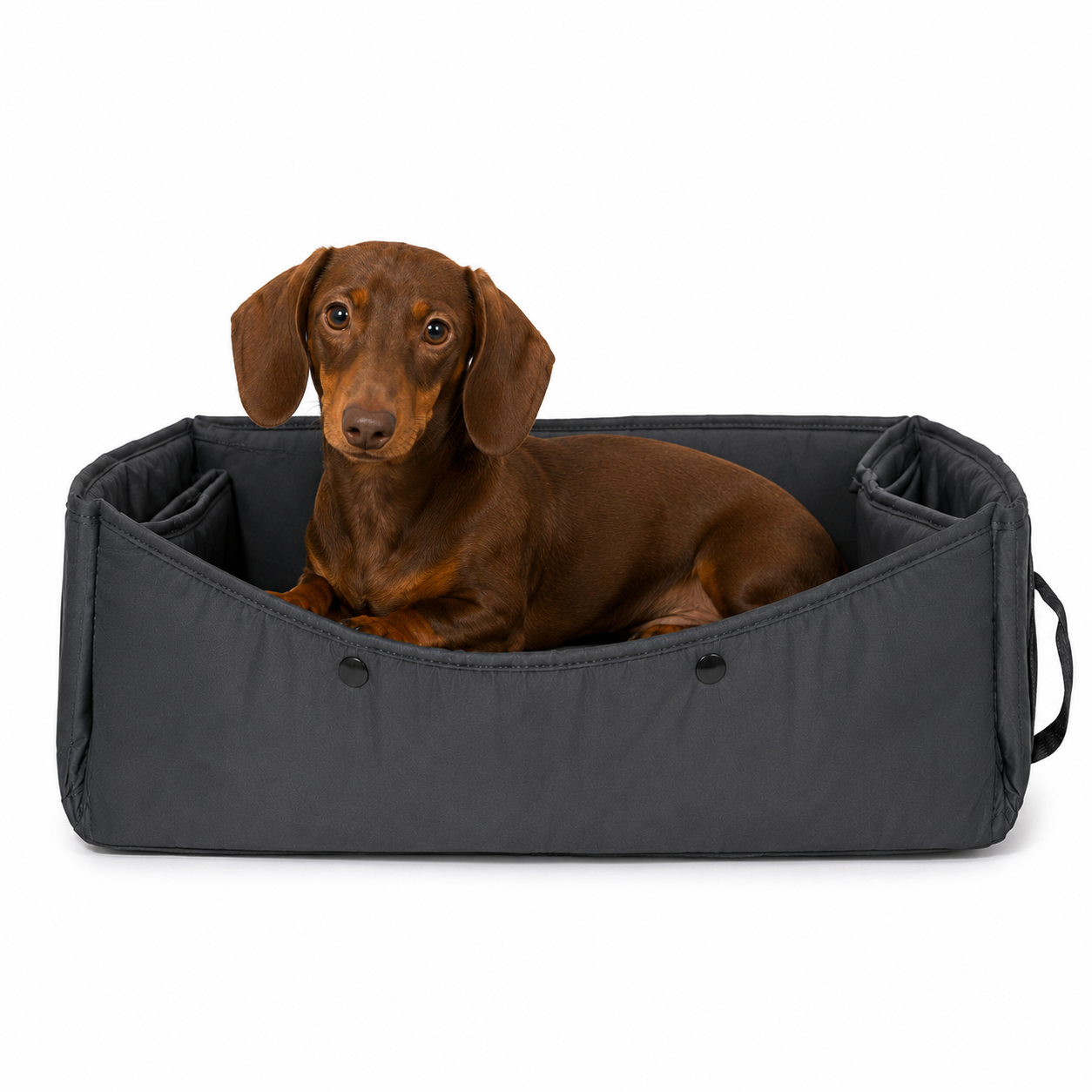 3-in-1 Portable Dog Travel Bed