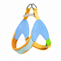 Colorful Dog Harness & Leash Set